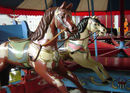 Norman & Evans Horses